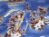 Men's Aloha shirt by Hilo Hatties.  100% rayon, Size: Mens Small